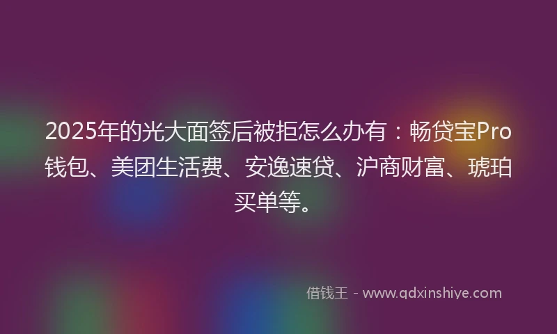 2025年的光大面签后被拒怎么办有：畅贷宝Pro钱包、美团生活费、安逸速贷、沪商财富、琥珀买单等。