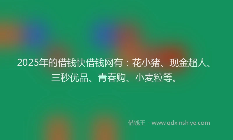 2025年的借钱快借钱网有：花小猪、现金超人、三秒优品、青春购、小麦粒等。