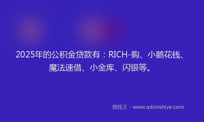 2025年的公积金贷款有：RICH-购、小鹅花钱、魔法速借、小金库、闪银等。