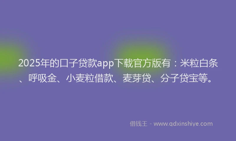 2025年的口子贷款app下载官方版有：米粒白条、呼吸金、小麦粒借款、麦芽贷、分子贷宝等。