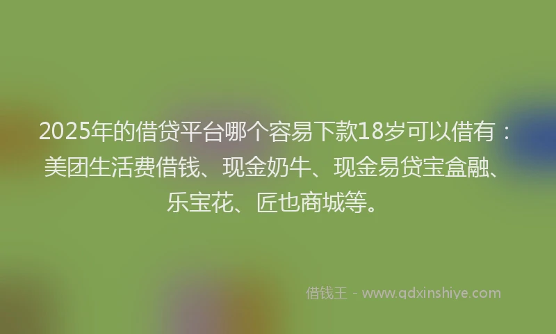 2025年的借贷平台哪个容易下款18岁可以借有：美团生活费借钱、现金奶牛、现金易贷宝盒融、乐宝花、匠也商城等。