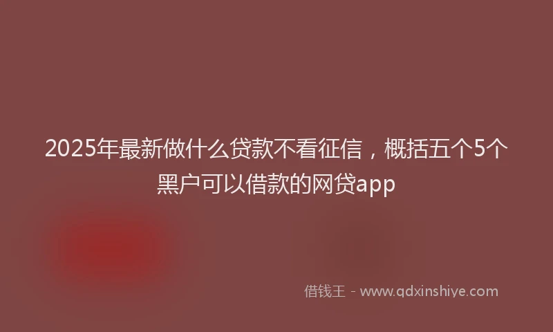 2025年最新做什么贷款不看征信，概括五个5个黑户可以借款的网贷app