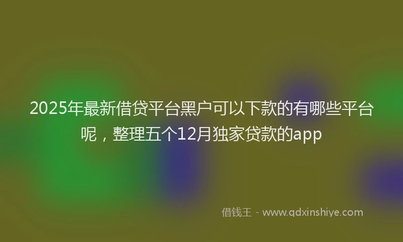 2025年最新借贷平台黑户可以下款的有哪些平台呢，整理五个12月独家贷款的app