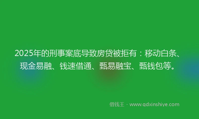 2025年的刑事案底导致房贷被拒有：移动白条、现金易融、钱速借通、甄易融宝、甄钱包等。