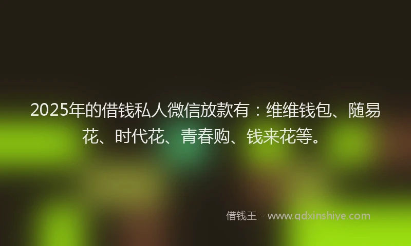 2025年的借钱私人微信放款有：维维钱包、随易花、时代花、青春购、钱来花等。