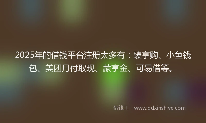 2025年的借钱平台注册太多有：臻享购、小鱼钱包、美团月付取现、蒙享金、可易借等。