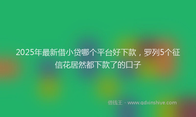 2025年最新借小贷哪个平台好下款，罗列5个征信花居然都下款了的口子