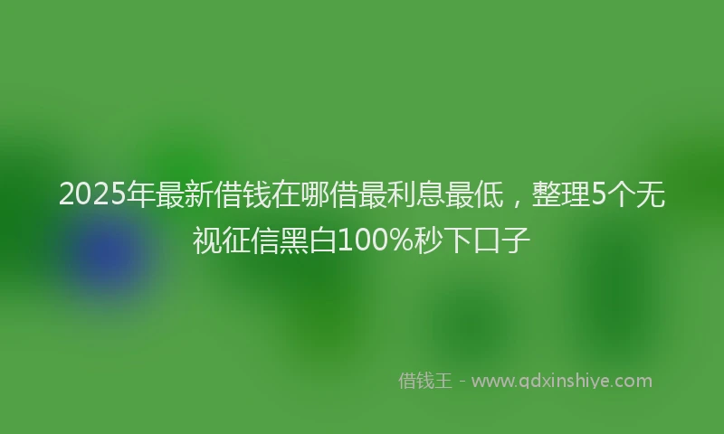 2025年最新借钱在哪借最利息最低，整理5个无视征信黑白100%秒下口子