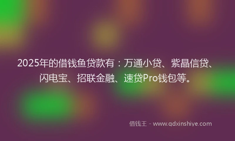 2025年的借钱鱼贷款有:万通小贷、紫晶信贷、闪电宝、招联金融、速贷Pro钱包等。
