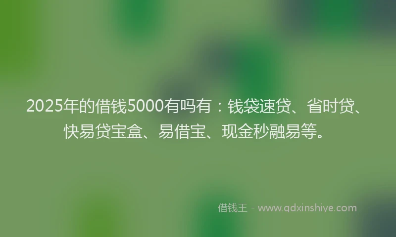 2025年的借钱5000有吗有：钱袋速贷、省时贷、快易贷宝盒、易借宝、现金秒融易等。