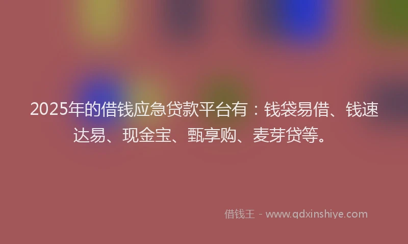 2025年的借钱应急贷款平台有：钱袋易借、钱速达易、现金宝、甄享购、麦芽贷等。