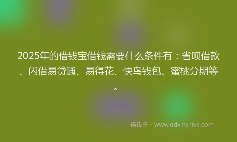 2025年的借钱宝借钱需要什么条件有：省呗借款、闪借易贷通、易得花、快鸟钱包、蜜桃分期等。