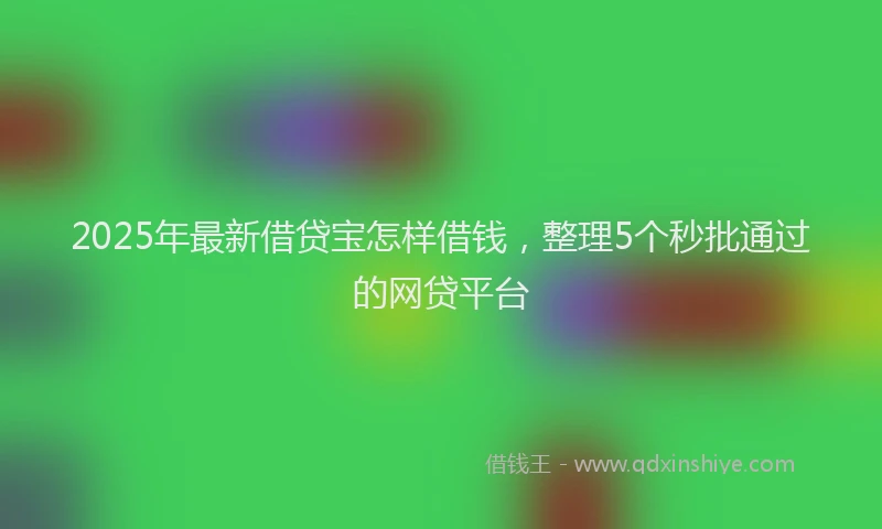2025年最新借贷宝怎样借钱，整理5个秒批通过的网贷平台