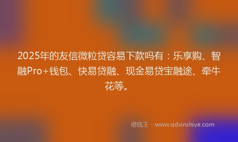 2025年的友信微粒贷容易下款吗有：乐享购、智融Pro+钱包、快易贷融、现金易贷宝融途、牵牛花等。