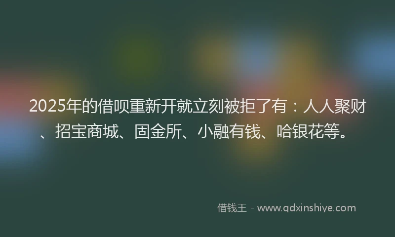 2025年的借呗重新开就立刻被拒了有：人人聚财、招宝商城、固金所、小融有钱、哈银花等。