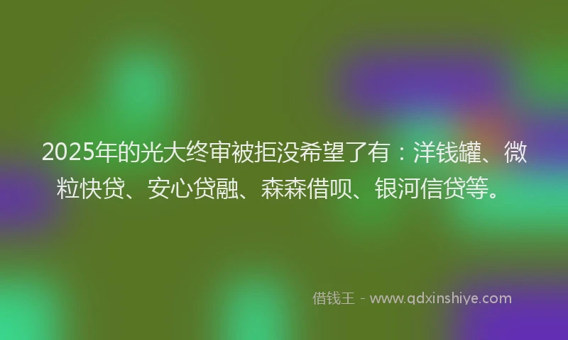 2025年的光大终审被拒没希望了有：洋钱罐、微粒快贷、安心贷融、森森借呗、银河信贷等。