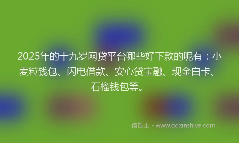 2025年的十九岁网贷平台哪些好下款的呢有：小麦粒钱包、闪电借款、安心贷宝融、现金白卡、石榴钱包等。