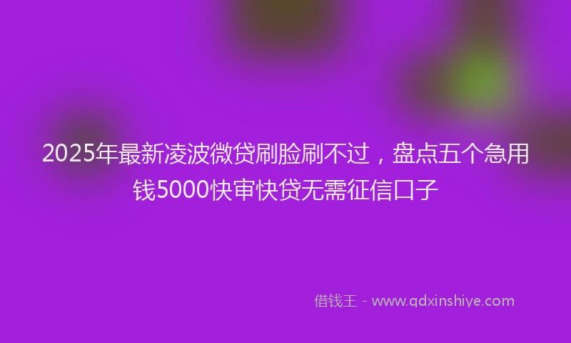 2025年最新凌波微贷刷脸刷不过，盘点五个急用钱5000快审快贷无需征信口子