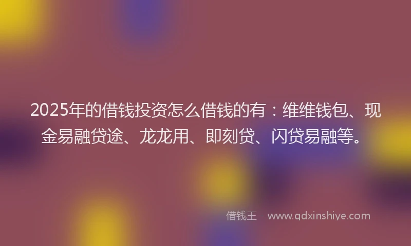 2025年的借钱投资怎么借钱的有：维维钱包、现金易融贷途、龙龙用、即刻贷、闪贷易融等。