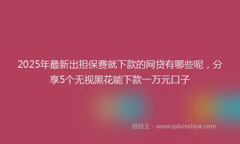 2025年最新出担保费就下款的网贷有哪些呢，分享5个无视黑花能下款一万元口子