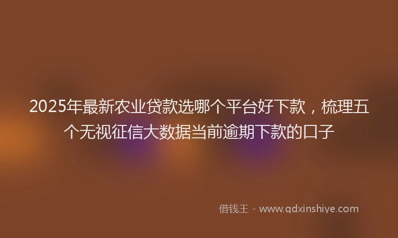 2025年最新农业贷款选哪个平台好下款，梳理五个无视征信大数据当前逾期下款的口子