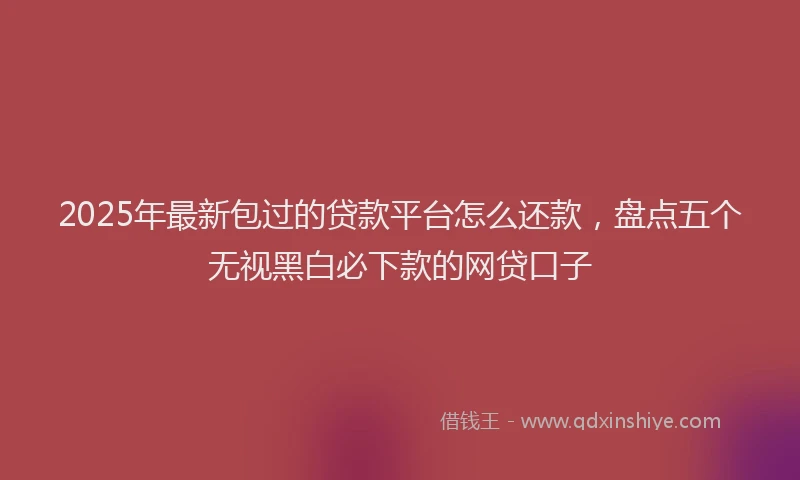 2025年最新包过的贷款平台怎么还款，盘点五个无视黑白必下款的网贷口子
