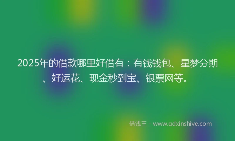2025年的借款哪里好借有：有钱钱包、星梦分期、好运花、现金秒到宝、银票网等。