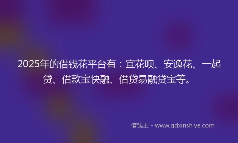2025年的借钱花平台有：宜花呗、安逸花、一起贷、借款宝快融、借贷易融贷宝等。