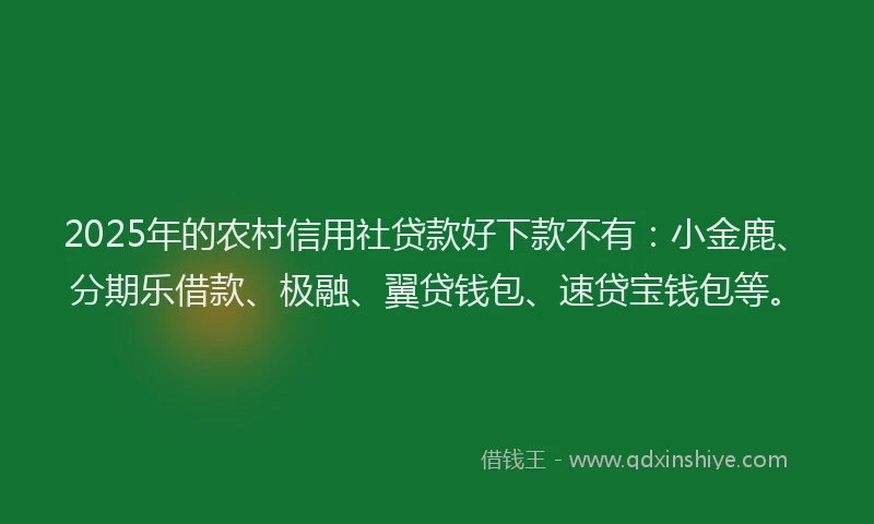 2025年的农村信用社贷款好下款不有：小金鹿、分期乐借款、极融、翼贷钱包、速贷宝钱包等。