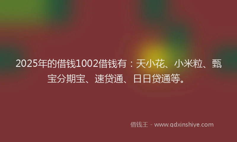 2025年的借钱1002借钱有：天小花、小米粒、甄宝分期宝、速贷通、日日贷通等。