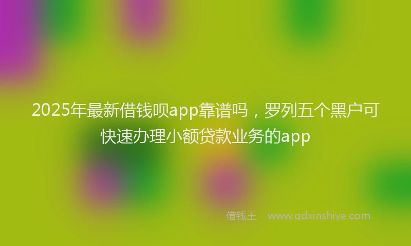 2025年最新借钱呗app靠谱吗，罗列五个黑户可快速办理小额贷款业务的app