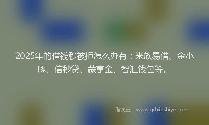 2025年的借钱秒被拒怎么办有：米族易借、金小豚、信秒贷、蒙享金、智汇钱包等。