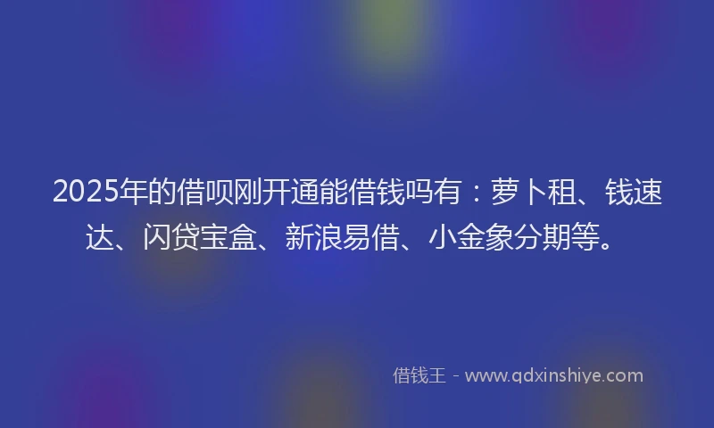 2025年的借呗刚开通能借钱吗有：萝卜租、钱速达、闪贷宝盒、新浪易借、小金象分期等。