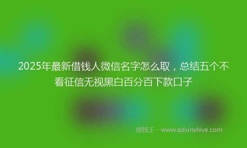 2025年最新借钱人微信名字怎么取，总结五个不看征信无视黑白百分百下款口子