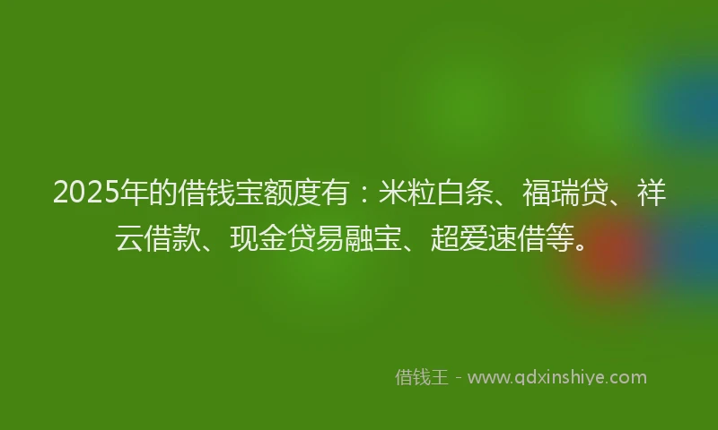 2025年的借钱宝额度有：米粒白条、福瑞贷、祥云借款、现金贷易融宝、超爱速借等。