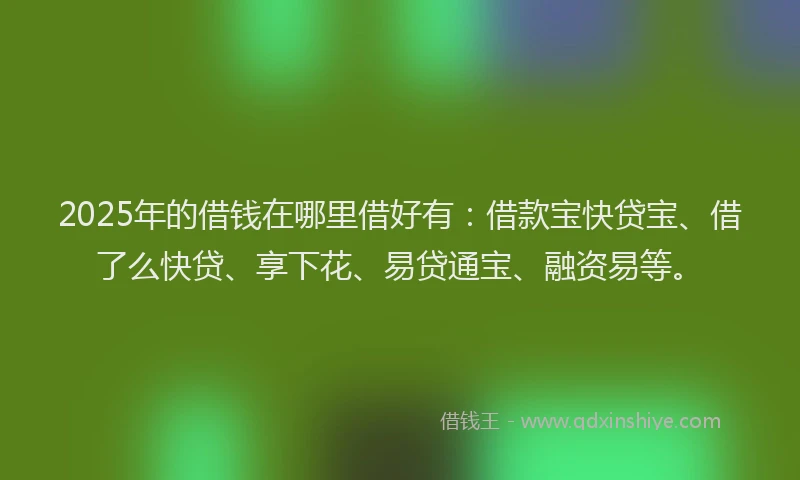 2025年的借钱在哪里借好有：借款宝快贷宝、借了么快贷、享下花、易贷通宝、融资易等。