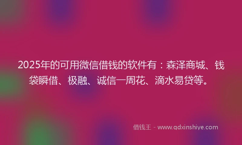 2025年的可用微信借钱的软件有：森泽商城、钱袋瞬借、极融、诚信一周花、滴水易贷等。