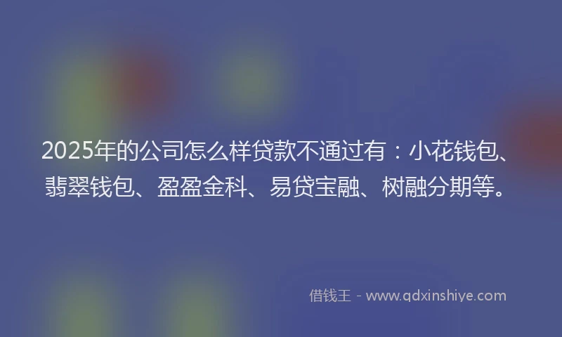 2025年的公司怎么样贷款不通过有：小花钱包、翡翠钱包、盈盈金科、易贷宝融、树融分期等。
