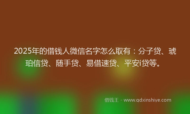 2025年的借钱人微信名字怎么取有：分子贷、琥珀信贷、随手贷、易借速贷、平安i贷等。