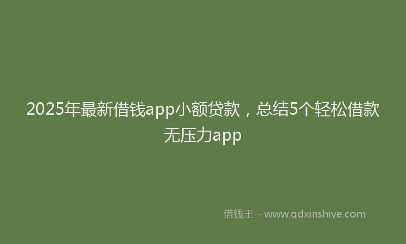 2025年最新借钱app小额贷款，总结5个轻松借款无压力app