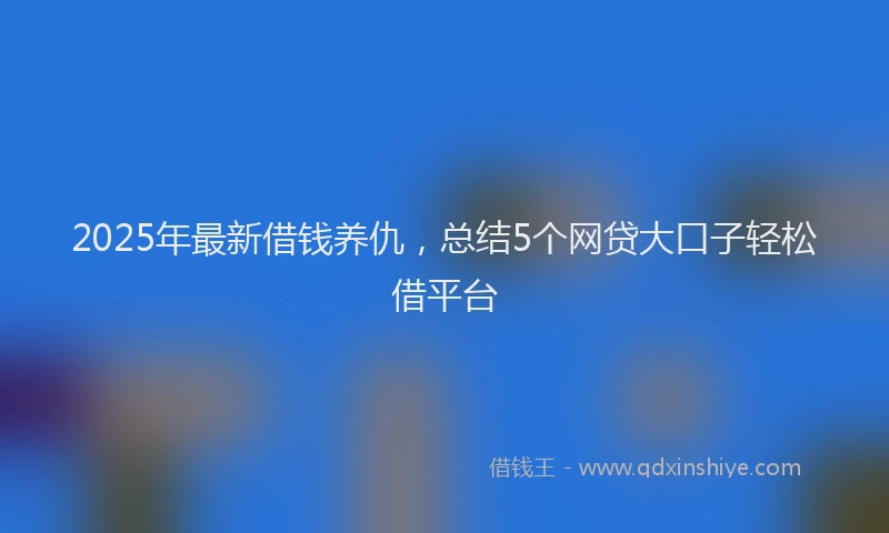 2025年最新借钱养仇，总结5个网贷大口子轻松借平台
