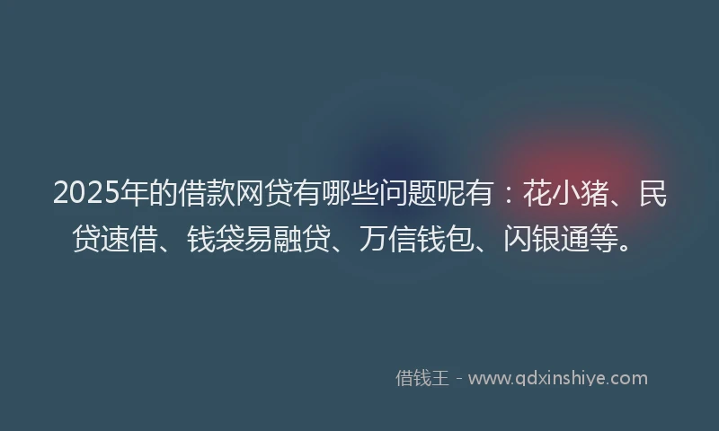 2025年的借款网贷有哪些问题呢有：花小猪、民贷速借、钱袋易融贷、万信钱包、闪银通等。