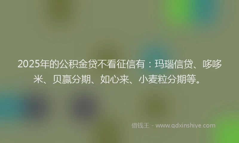 2025年的公积金贷不看征信有：玛瑙信贷、哆哆米、贝赢分期、如心来、小麦粒分期等。