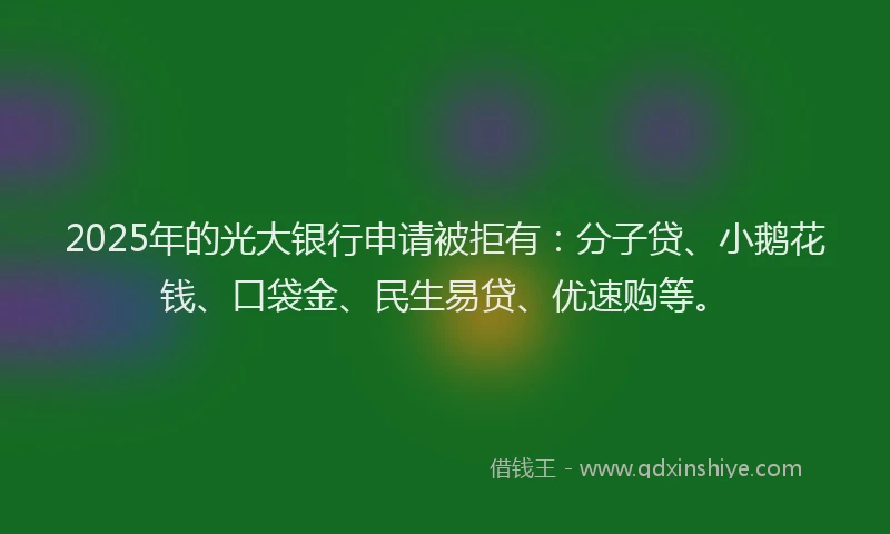 2025年的光大银行申请被拒有：分子贷、小鹅花钱、口袋金、民生易贷、优速购等。
