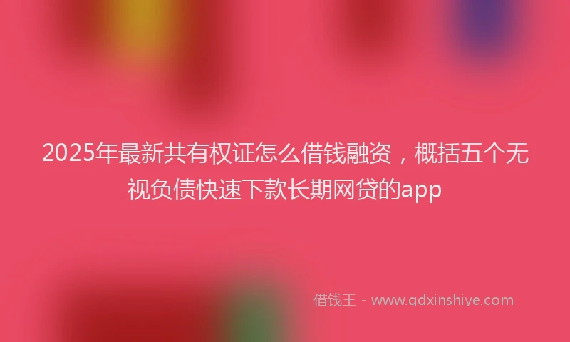 2025年最新共有权证怎么借钱融资，概括五个无视负债快速下款长期网贷的app