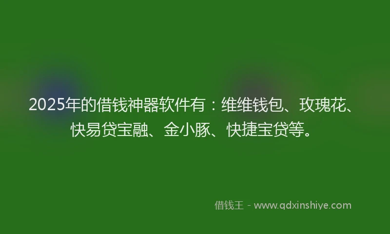 2025年的借钱神器软件有：维维钱包、玫瑰花、快易贷宝融、金小豚、快捷宝贷等。