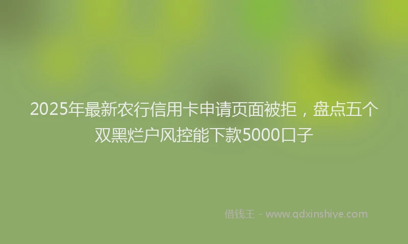 2025年最新农行信用卡申请页面被拒，盘点五个双黑烂户风控能下款5000口子