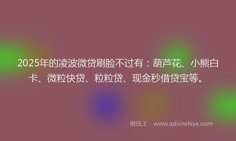 2025年的凌波微贷刷脸不过有：葫芦花、小熊白卡、微粒快贷、粒粒贷、现金秒借贷宝等。