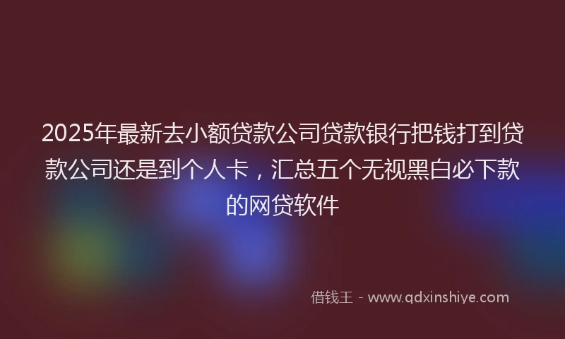 2025年最新去小额贷款公司贷款银行把钱打到贷款公司还是到个人卡，汇总五个无视黑白必下款的网贷软件