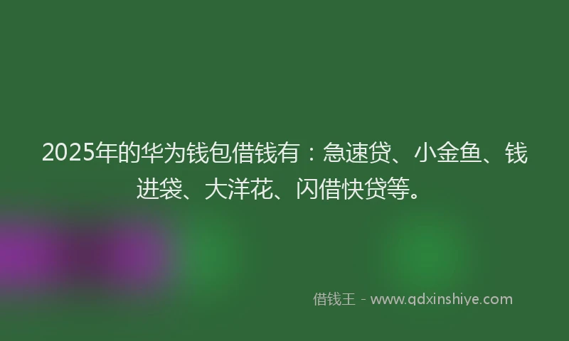 2025年的华为钱包借钱有：急速贷、小金鱼、钱进袋、大洋花、闪借快贷等。